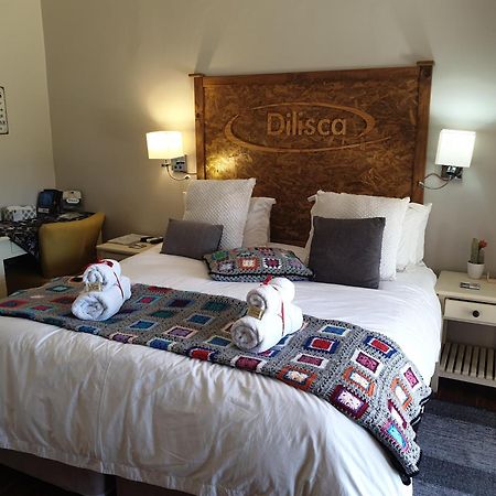 דרבנוויל Dilisca Guesthouse מראה חיצוני תמונה