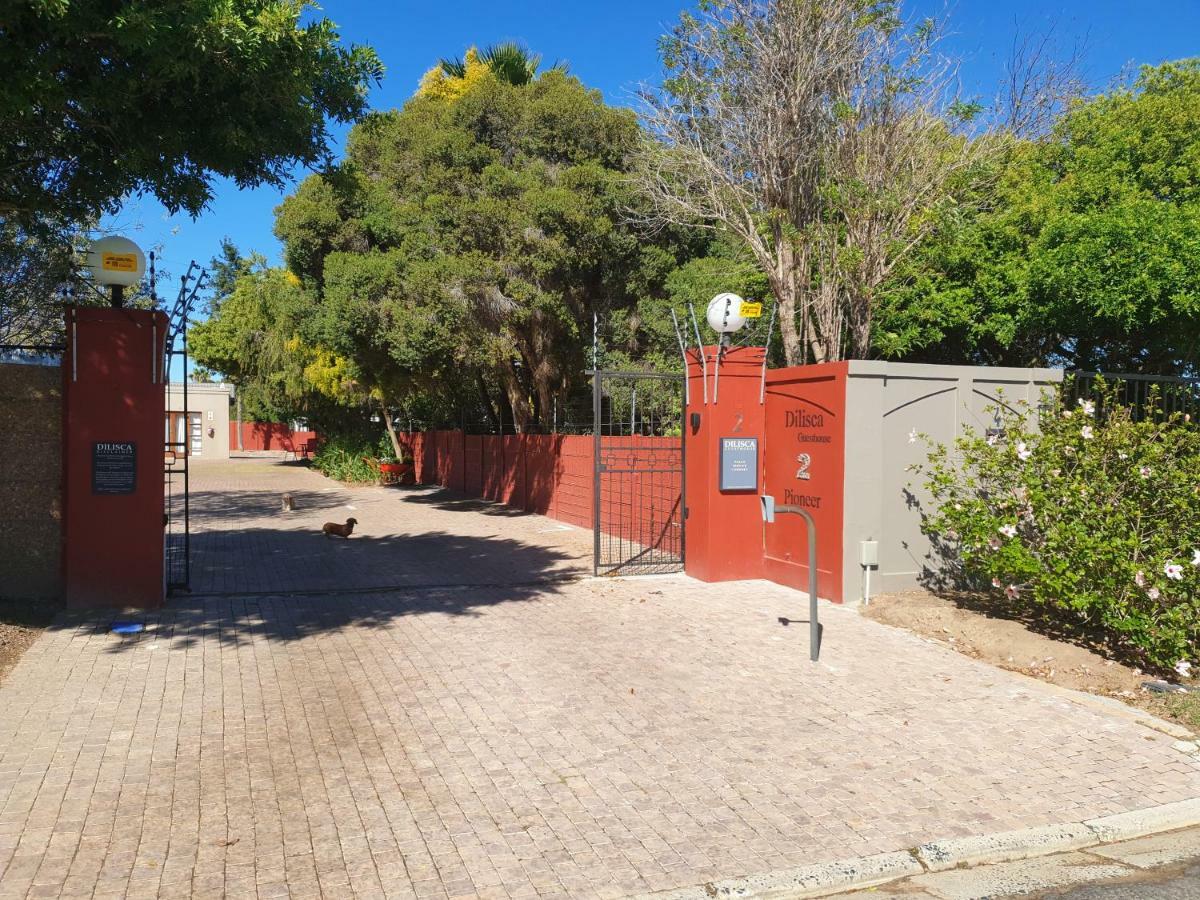 דרבנוויל Dilisca Guesthouse מראה חיצוני תמונה