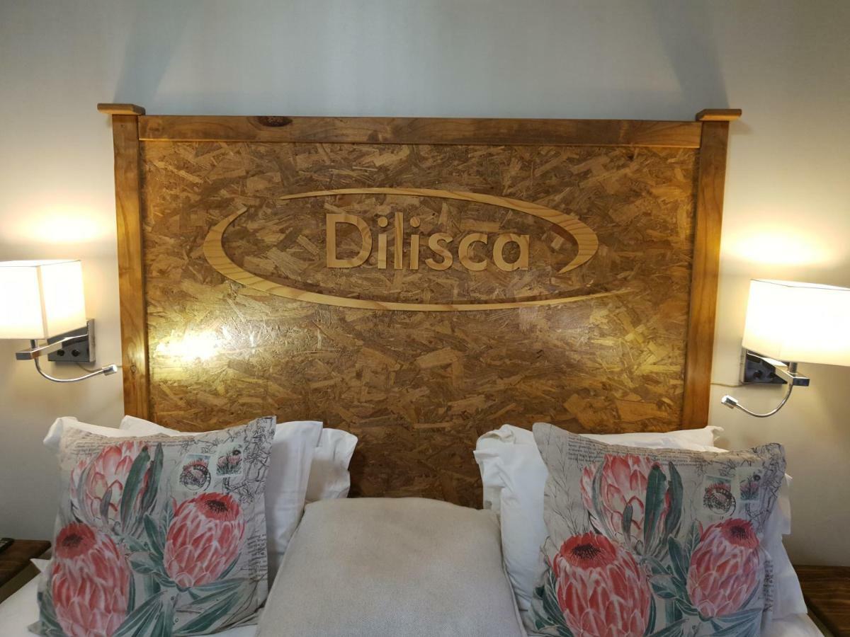 דרבנוויל Dilisca Guesthouse מראה חיצוני תמונה