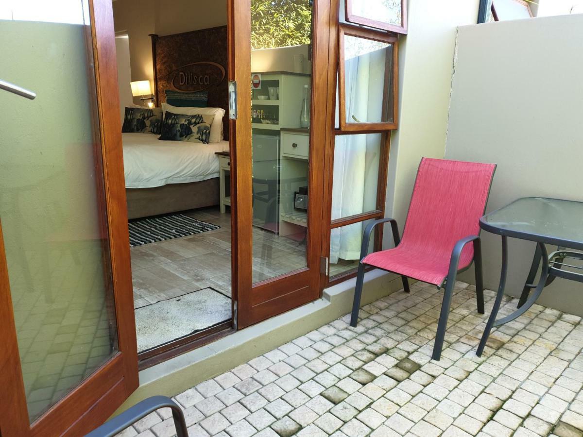 דרבנוויל Dilisca Guesthouse מראה חיצוני תמונה
