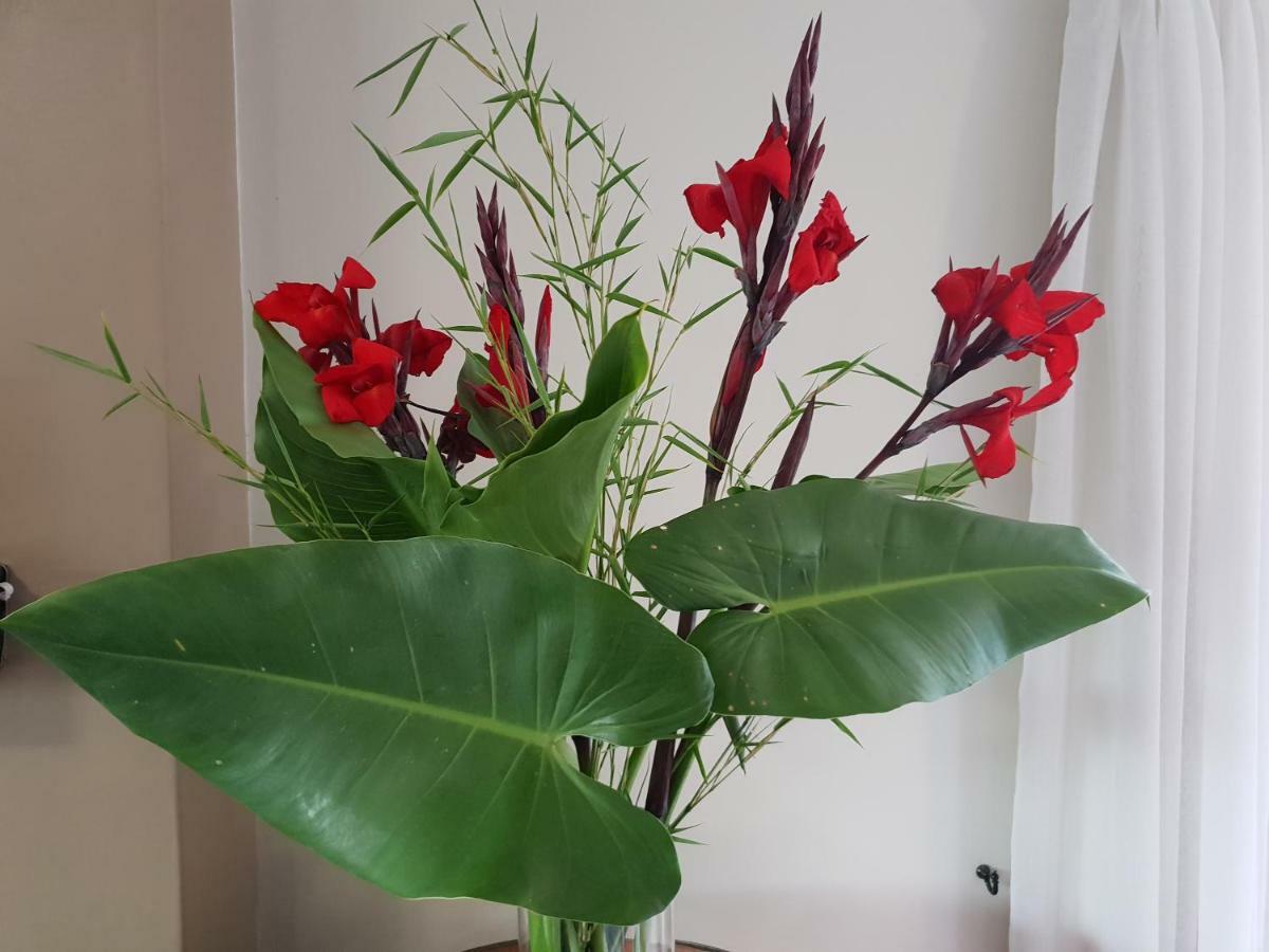 דרבנוויל Dilisca Guesthouse מראה חיצוני תמונה